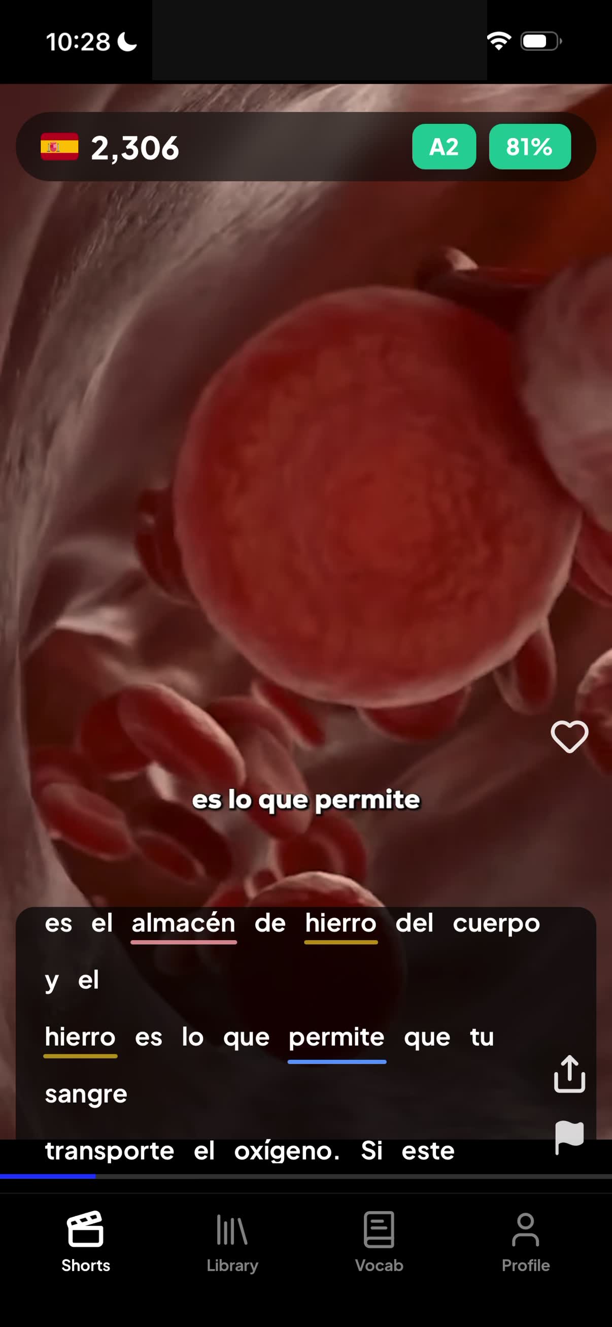 LangoBee Shorts feed on an iPhone with vertical native-language video and tappable captions