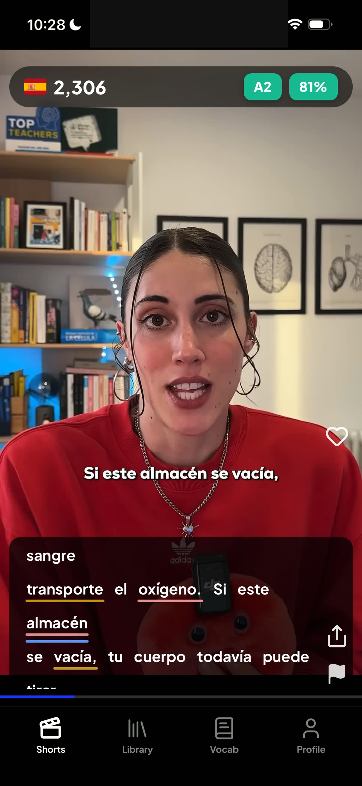 Translation popup over a LangoBee Shorts clip